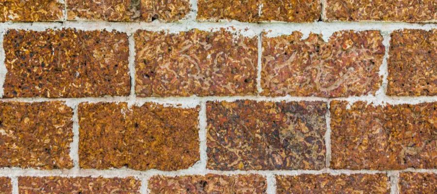 Laterite bricks house