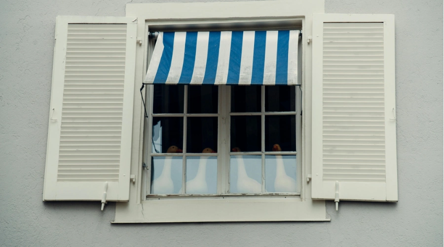 4. Awning Windows