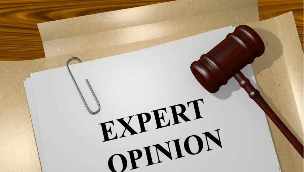 Legal opinion for land