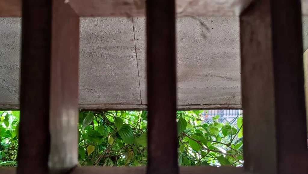 natural ventilation