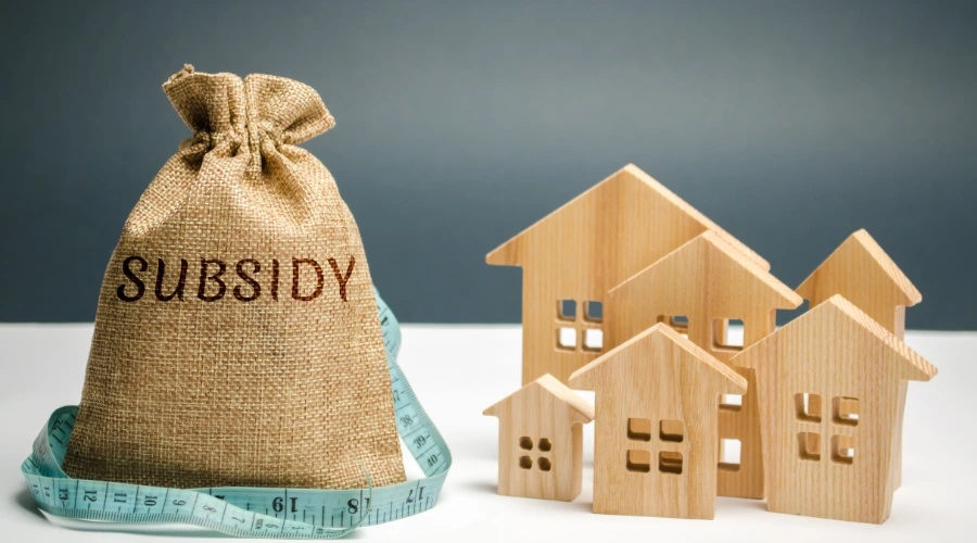 Banks and Home Loan Subsidies