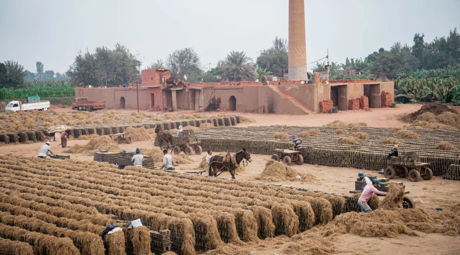 Clay Bricks (1)
