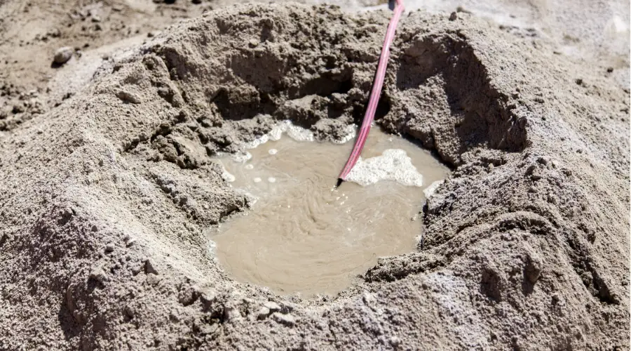 Phases of the Cement Hydration Process