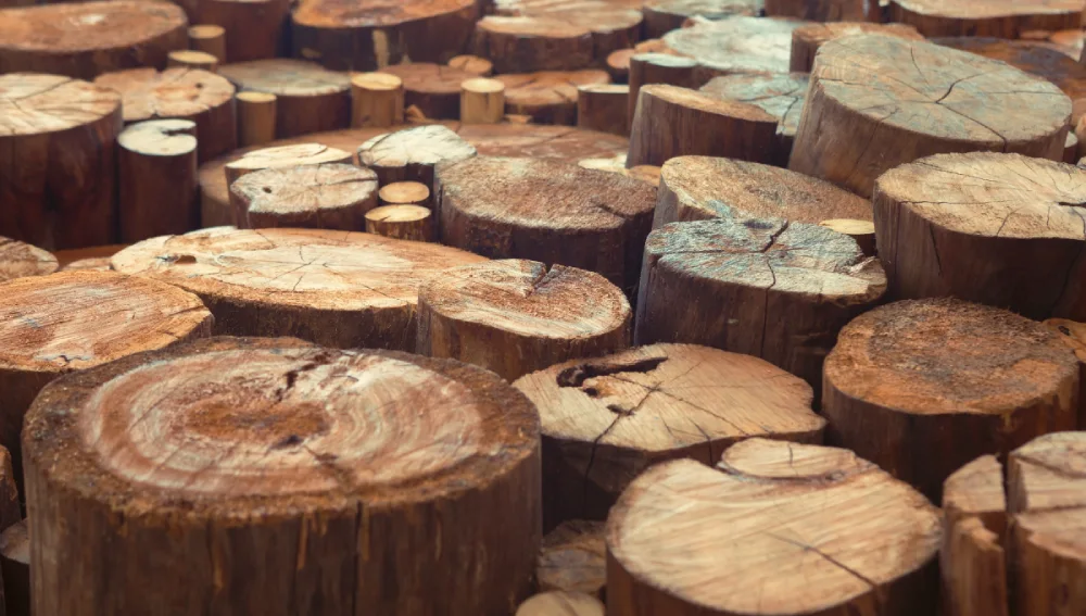 Teak wood