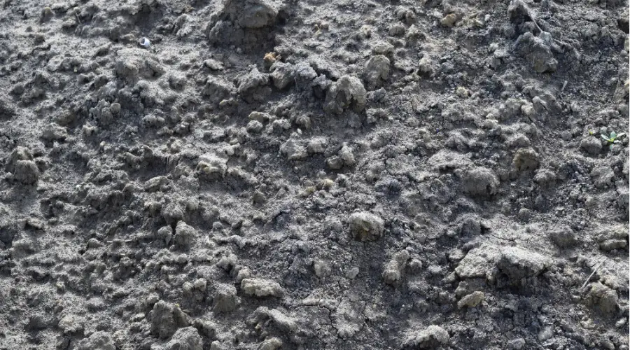 What is Rapid Hardening Cement (RHC)?