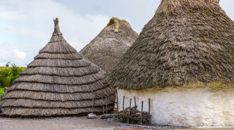 a) Kutcha houses