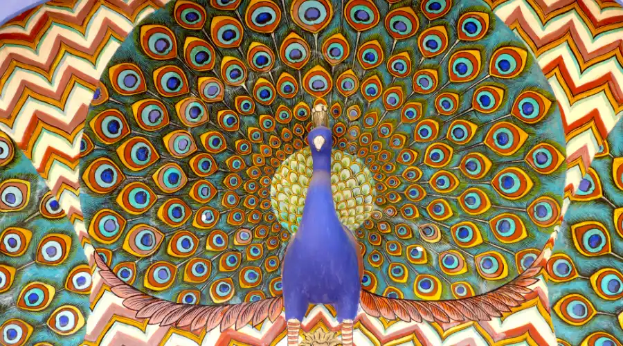 peacock wall art