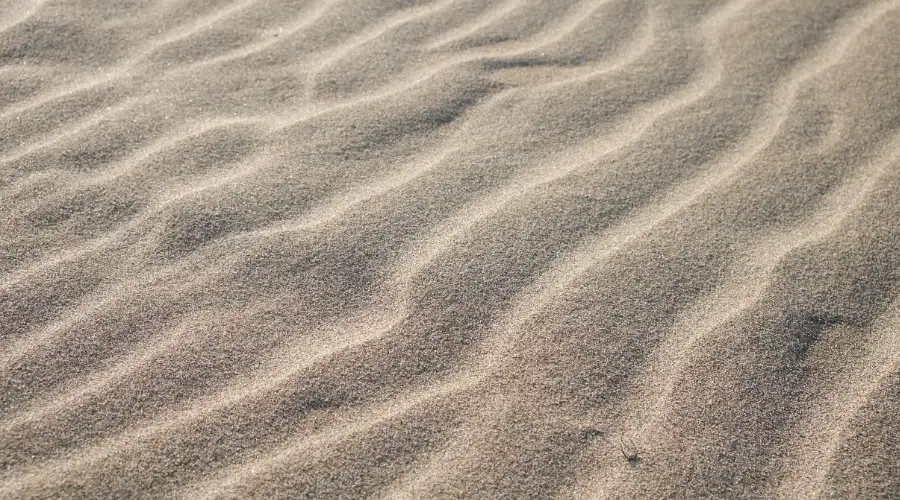 sand (1)