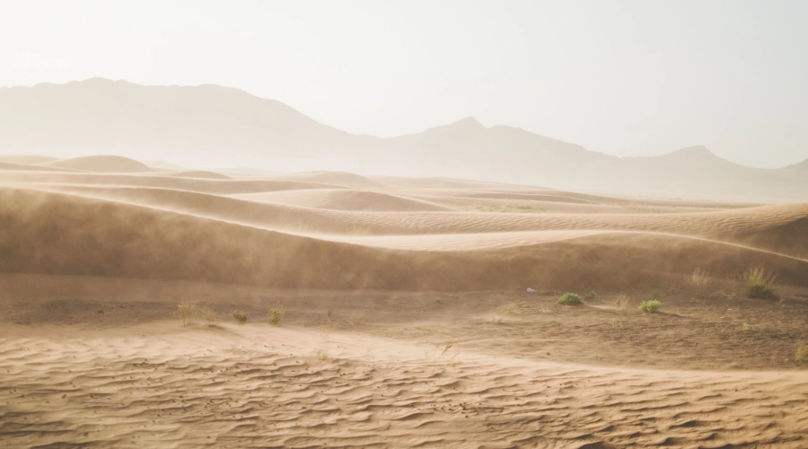 sand