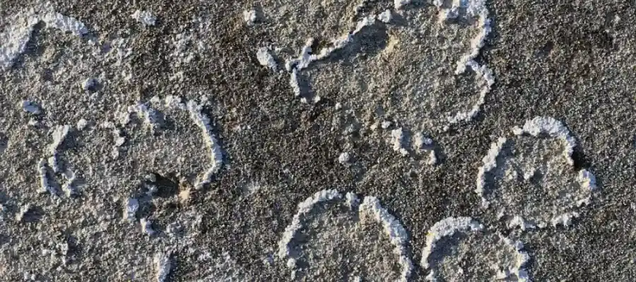 Concrete-Efflorescence