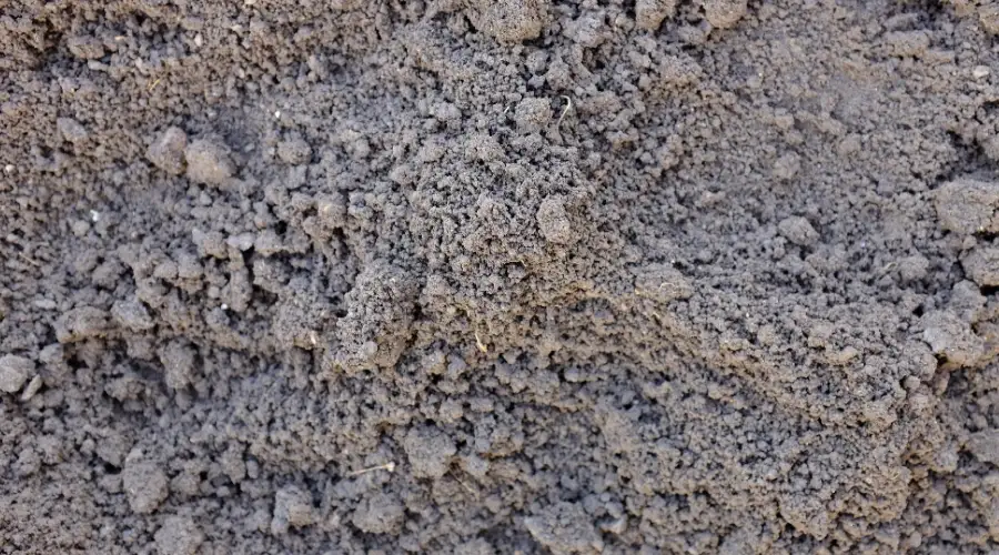 Suitable Soil Conditions
