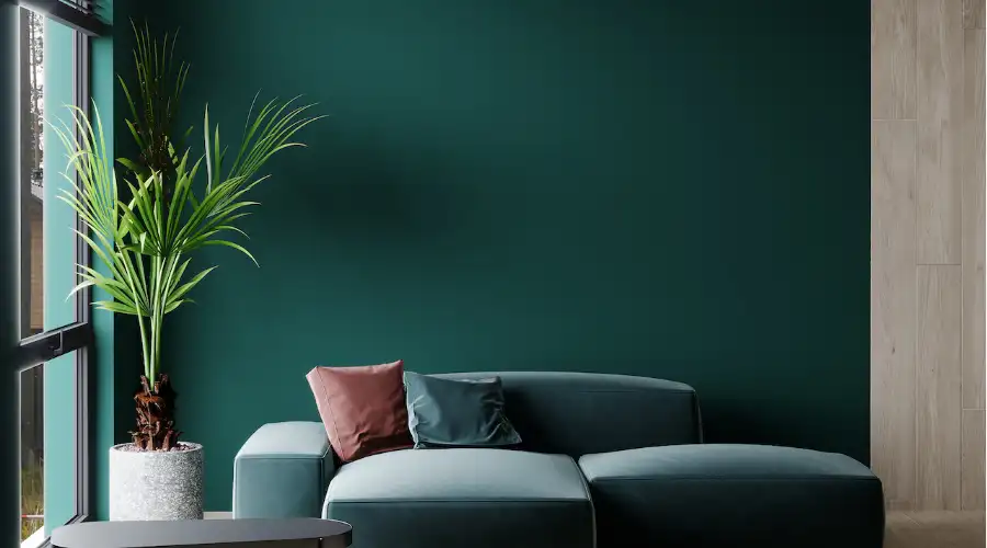 Accent Walls and Statement Colours