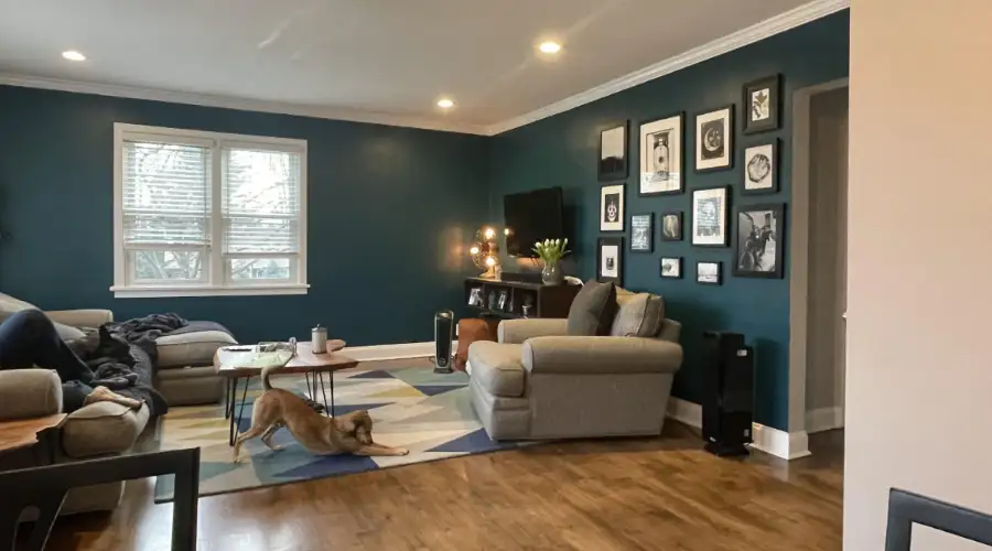 Accent Walls and Statement Colours