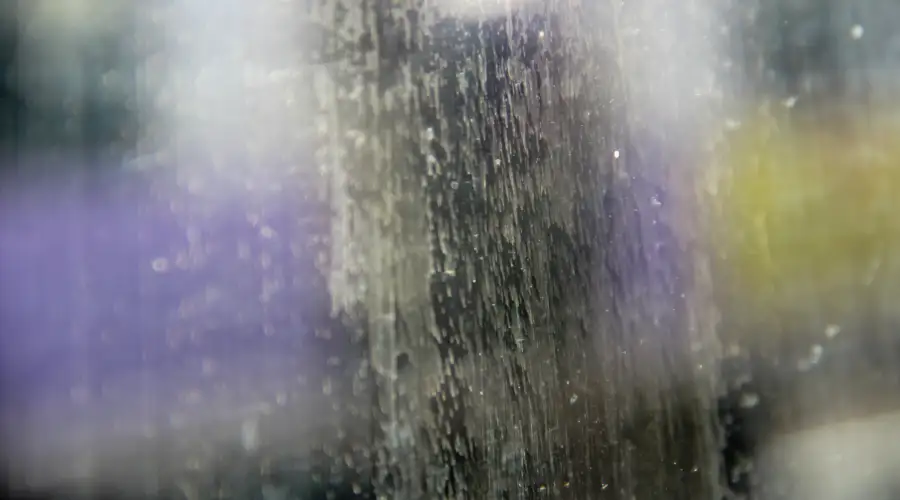 Shower Glass