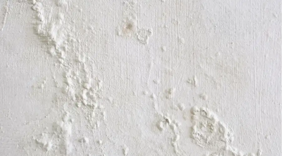 Water Seepage