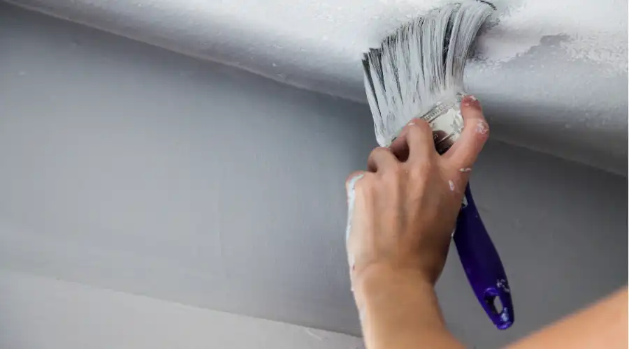 Paint
