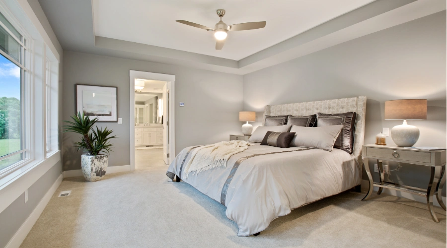 Tray Ceiling (1)