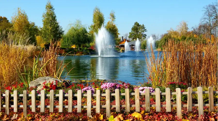 Near a Fountain or Pond