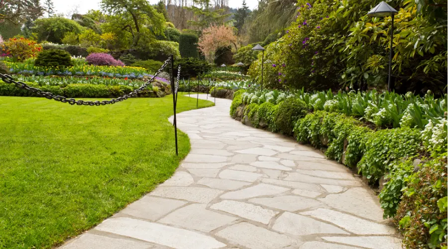 Pathways and Borders