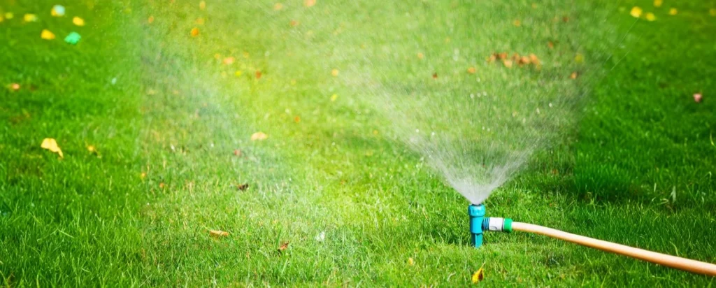 Home Lawn Care