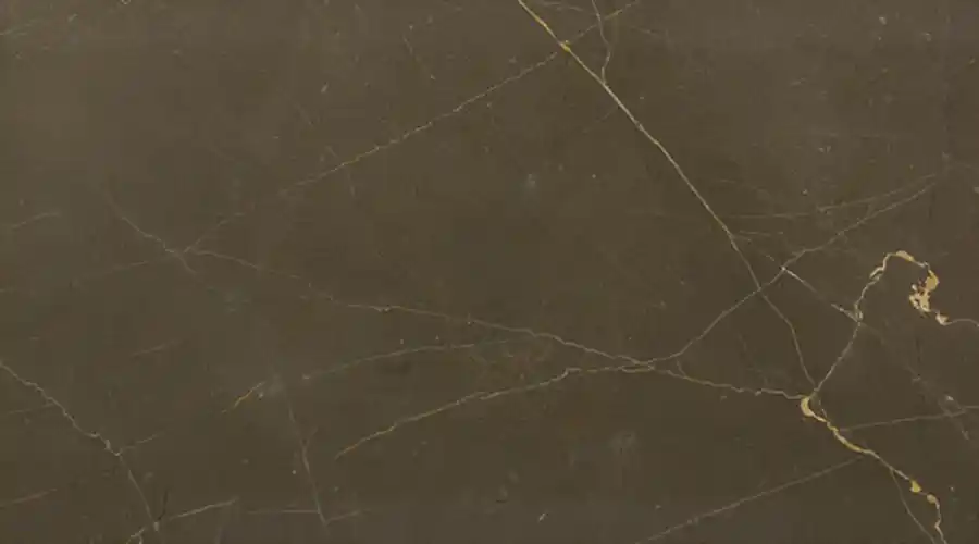 Oasis Brown Marble