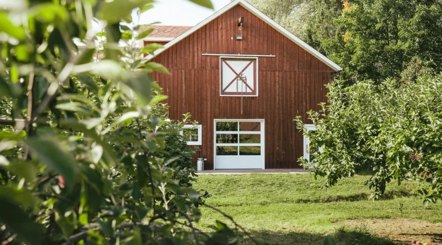 Rustic Farmhouse