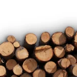 Timber Piles