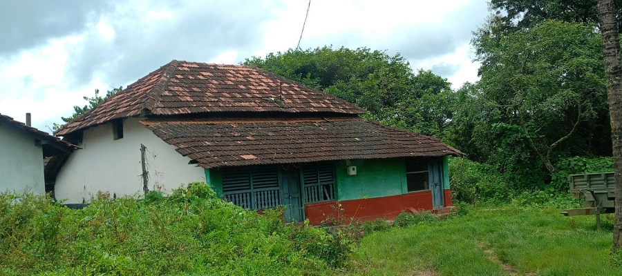 village house design
