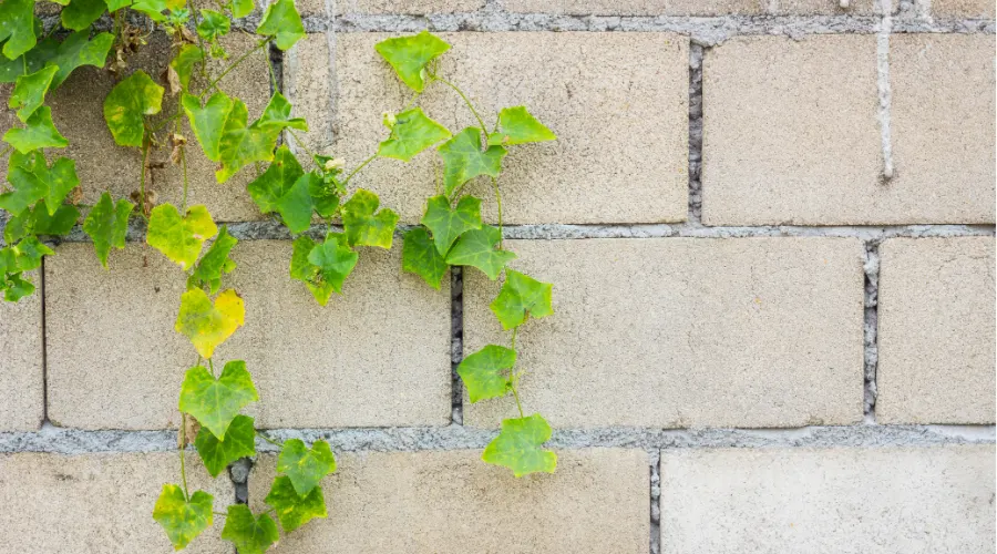 Hollow Bricks Wall