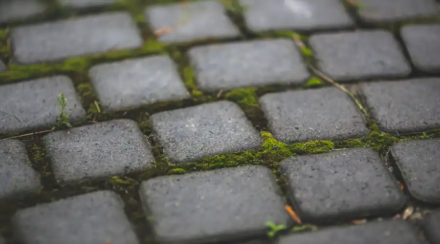 Natural Stone Paving Blocks