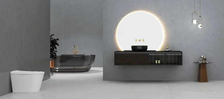 Smart Toilets in House