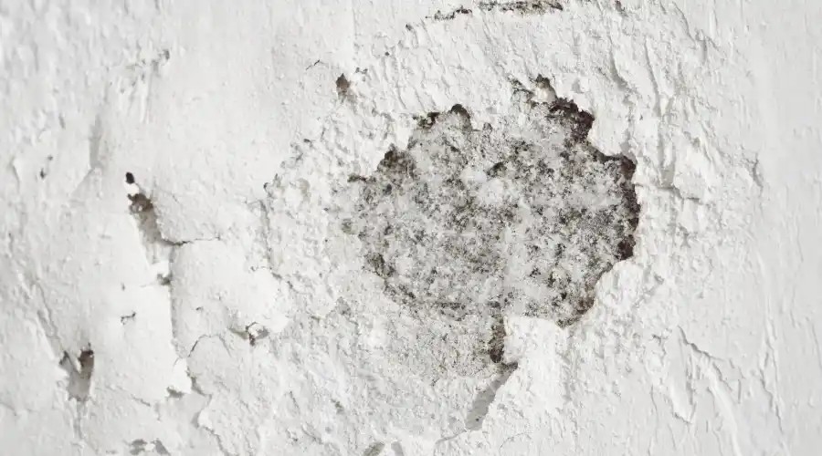 Effects of Laitance on Concrete
