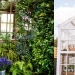 She-Shed design