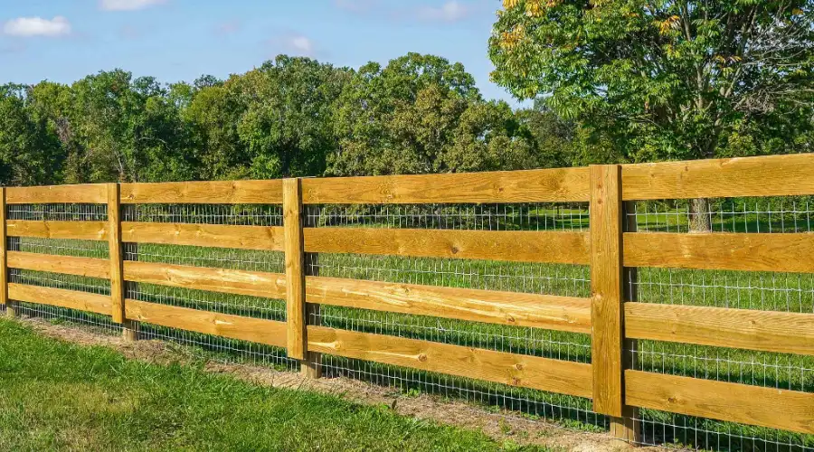 Split-Rail Fence