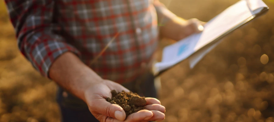 soil investigation