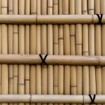 Bamboo Compound Walls