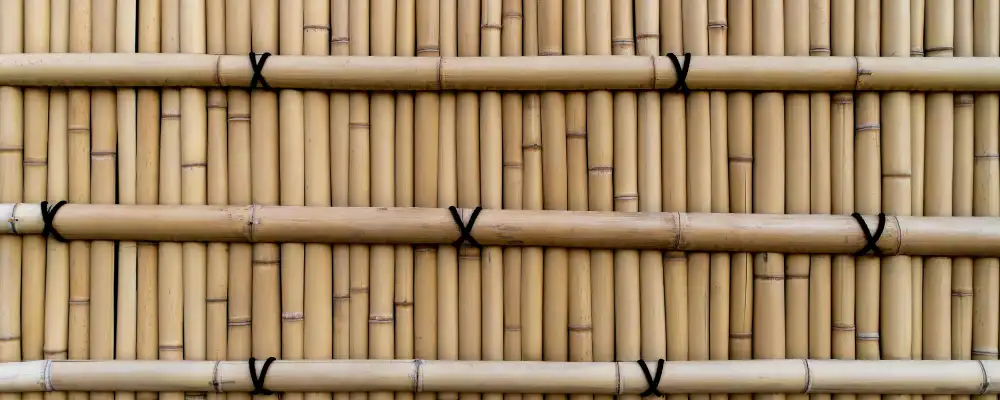 Bamboo Compound Walls