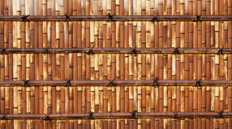Benefits of Bamboo Compound Walls