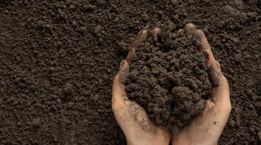 Soil Mechanics Why It Matters in Construction