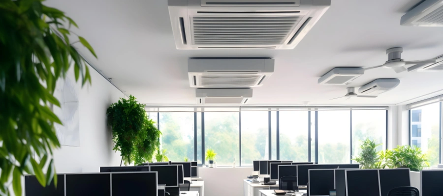 Focus on Indoor Environmental Quality (IEQ)