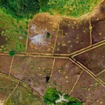 How to Buy Land in Mysore- A Comprehensive Guide for Buyers 