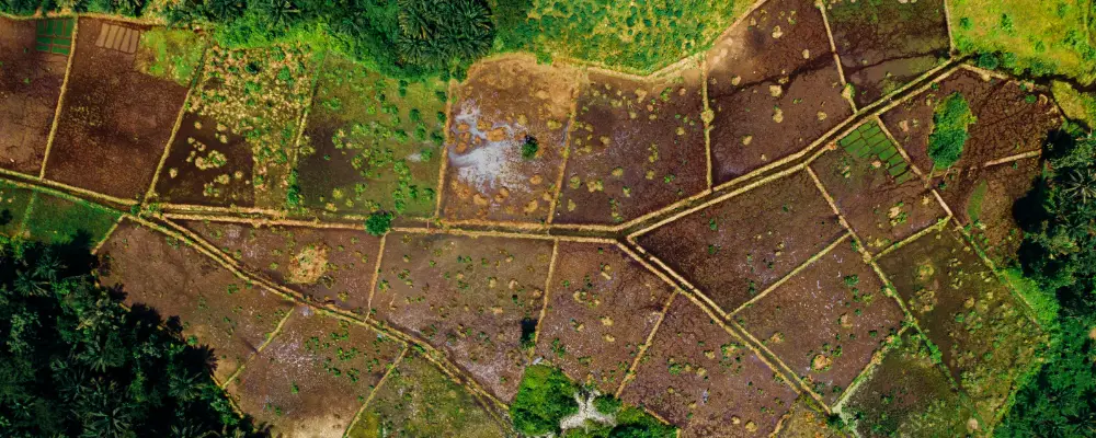 How to Buy Land in Mysore- A Comprehensive Guide for Buyers 