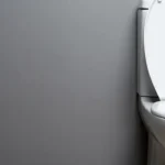Low-Flow Toilets for Smart Water Savings