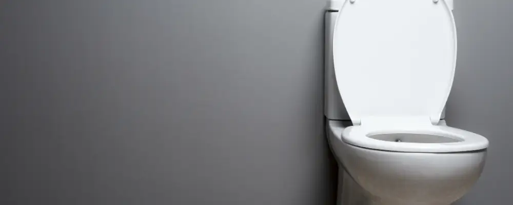 Low-Flow Toilets for Smart Water Savings