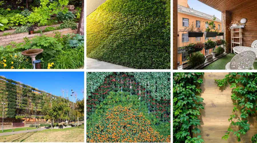 Types of Vertical Garden Walls