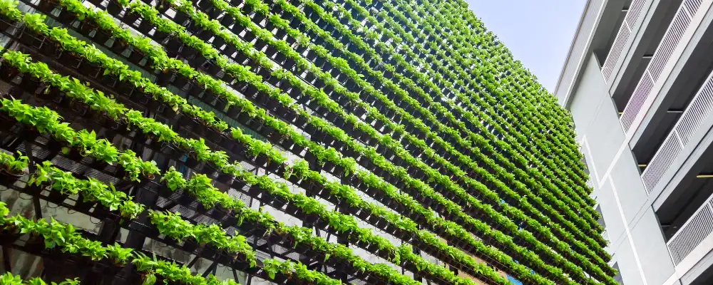 Vertical Garden Wall - Types, Installation and Cost in India