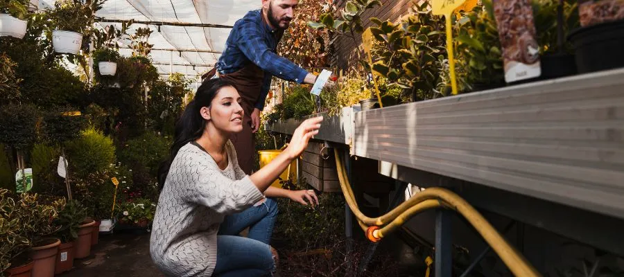 Terrace Gardening Ideas