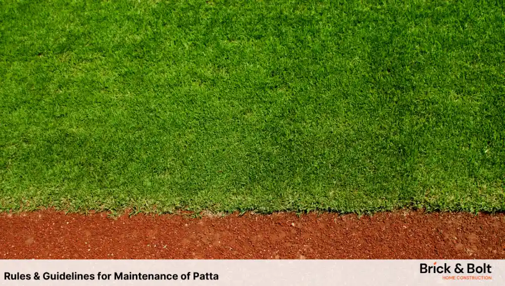 Rules & Guidelines for Maintenance of Patta