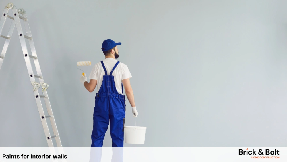 Paints for Interior walls