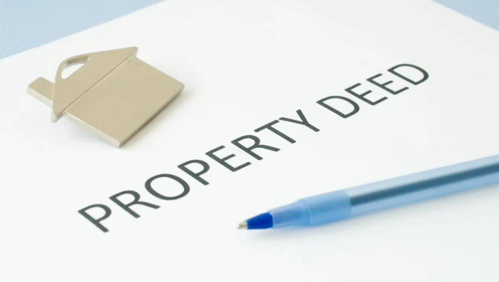 Components of a Deed of Surrender